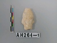 藏品(打製帶鋌石鏃)的圖片